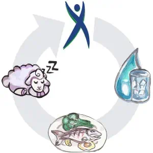 diagram showing circle of fitness, sleep, eating and water habits
